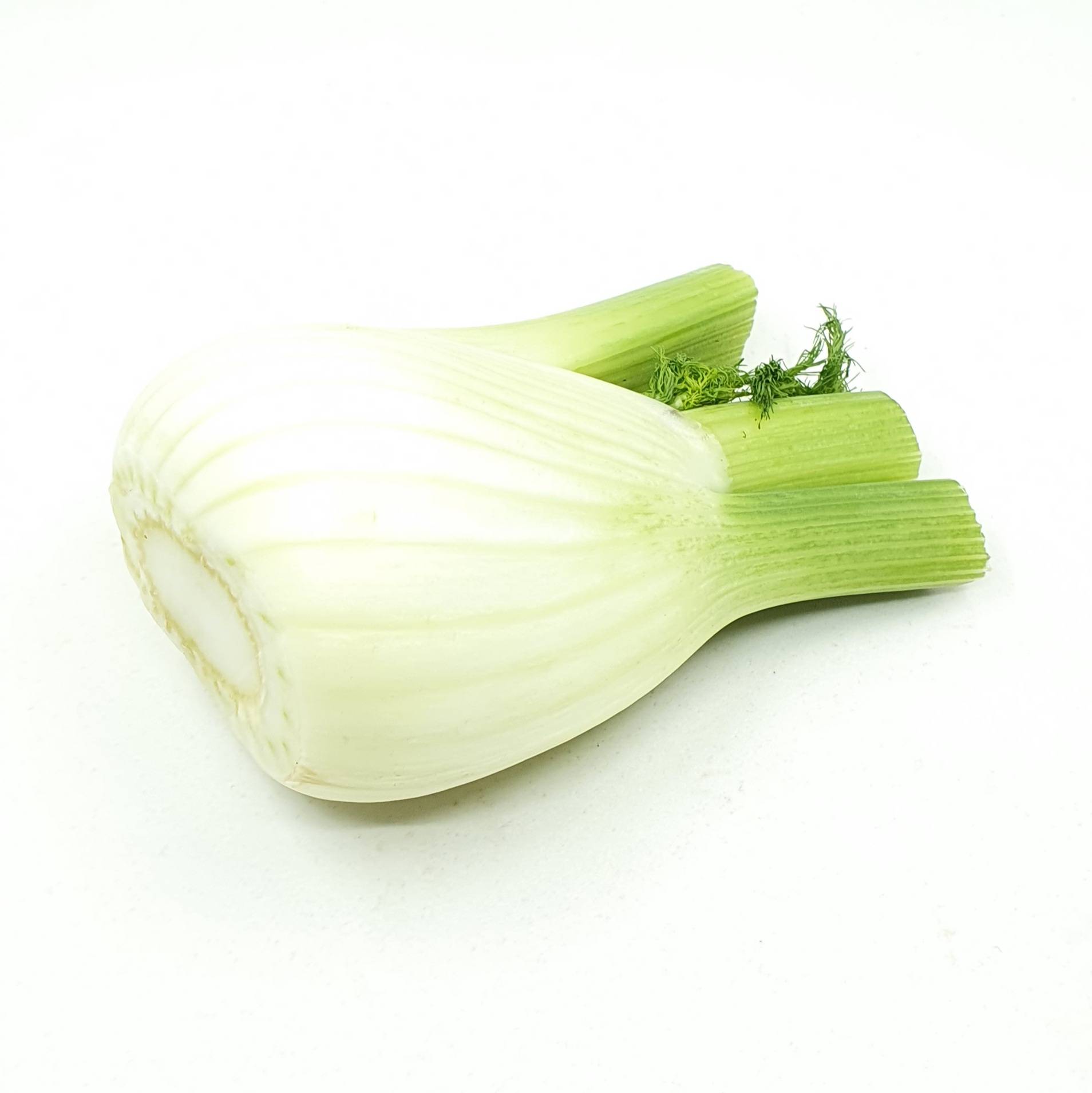 Fenchel online bestellen