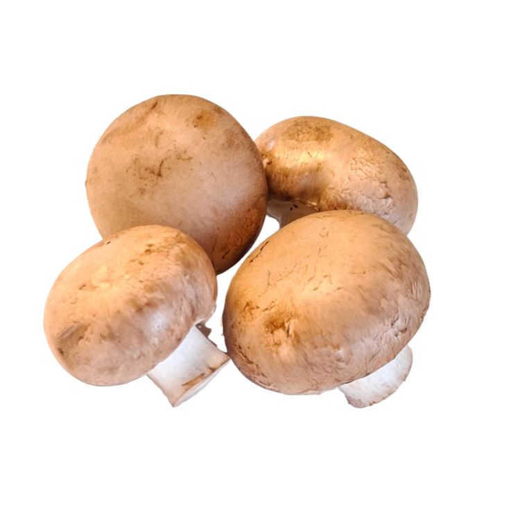 Champignons Braun (pro 100g)