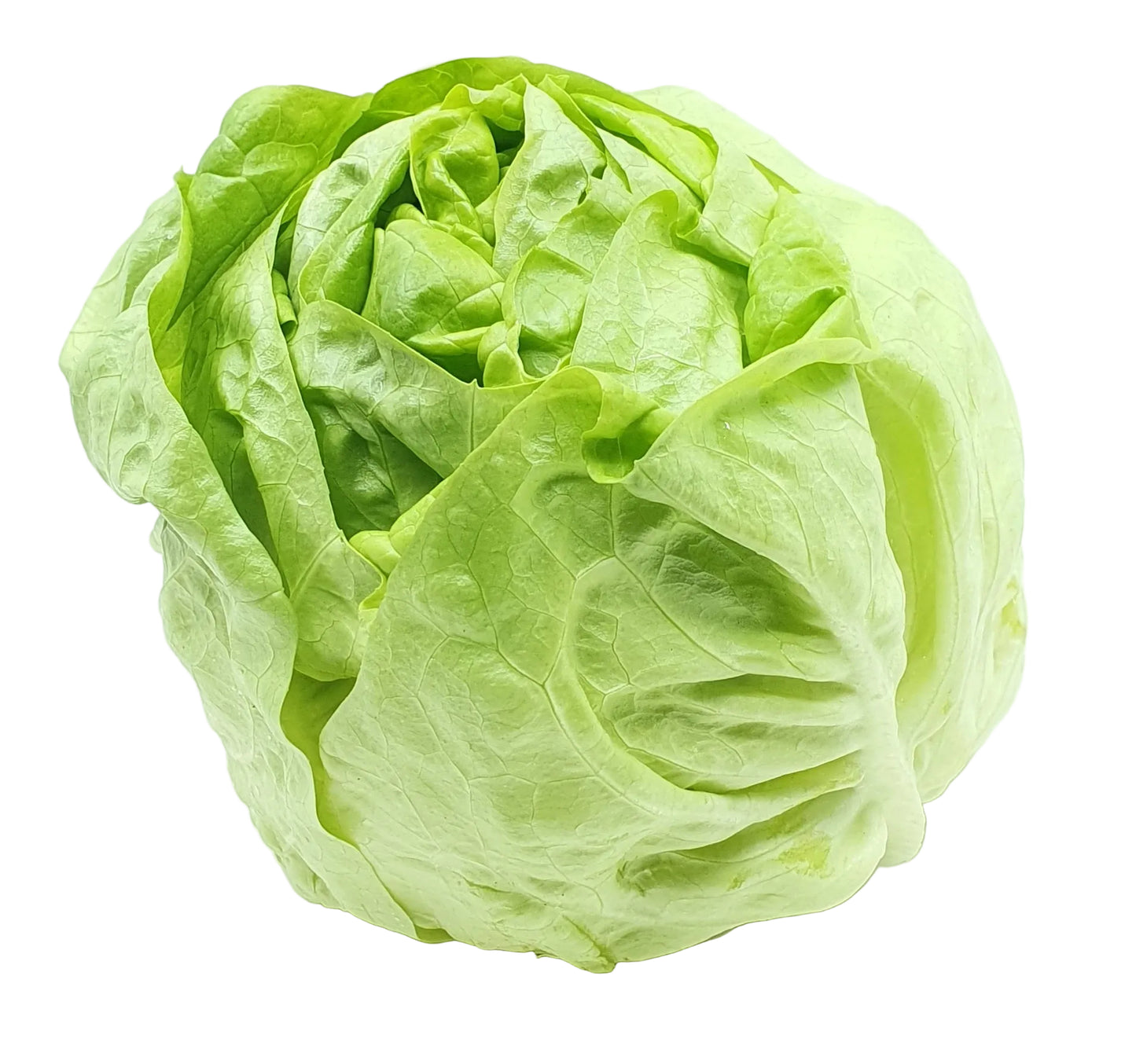 Herzsalat pro Stück