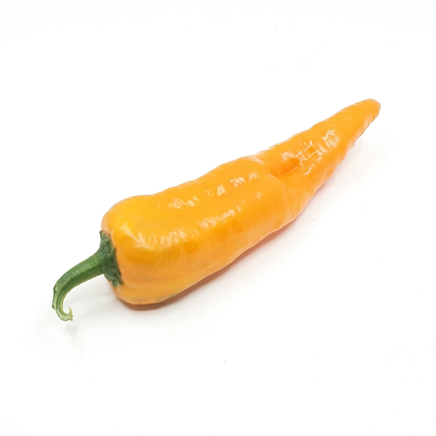 Hornpeperoni orange pro Stück
