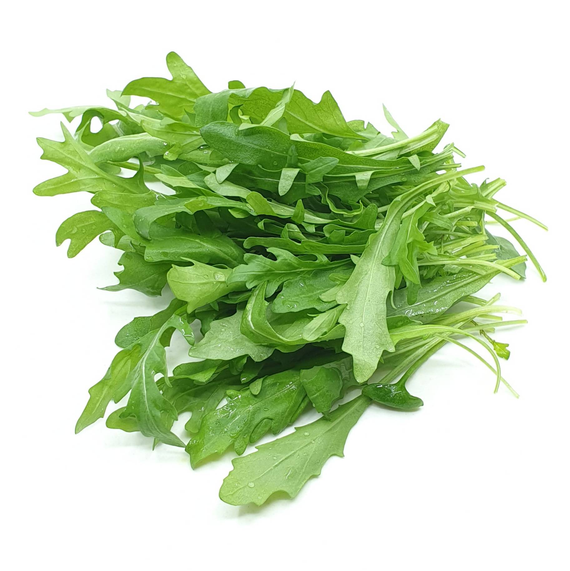 Rucola pro 50g