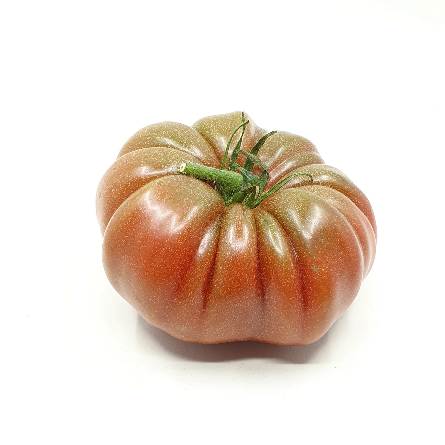 Schwarze Krim pro Stück