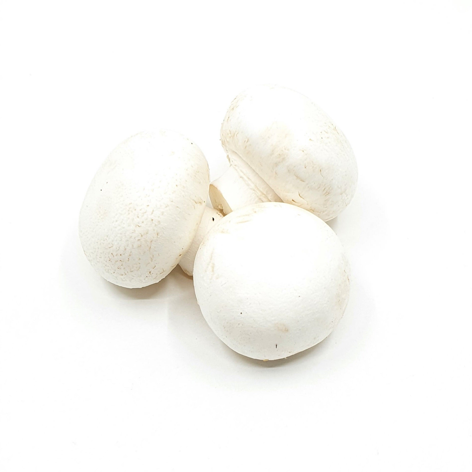 Champignons weiss, pilze direkt vom bauer kaufen