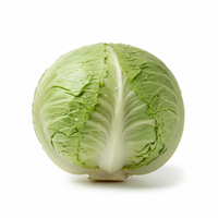 Knackiger Eisbergsalat