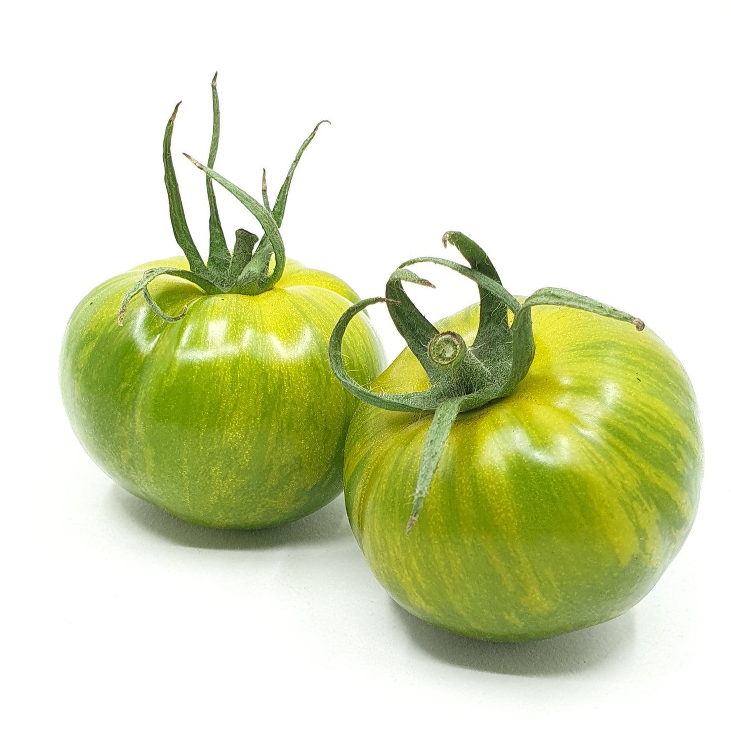 Green Zebra pro Stück