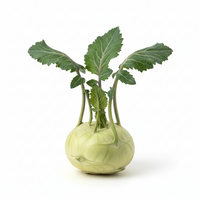 Kohlrabi pro Stück