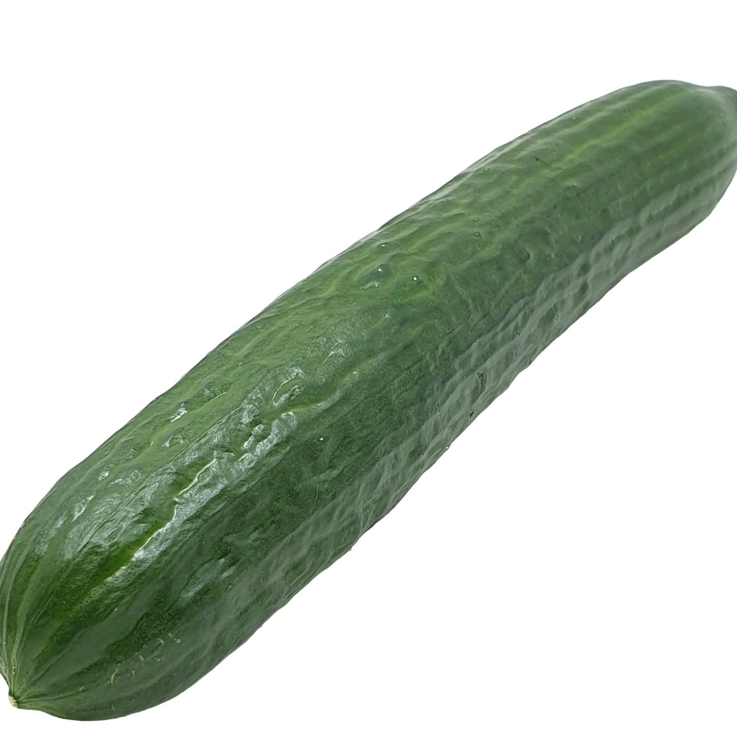 Salatgurke pro Stück