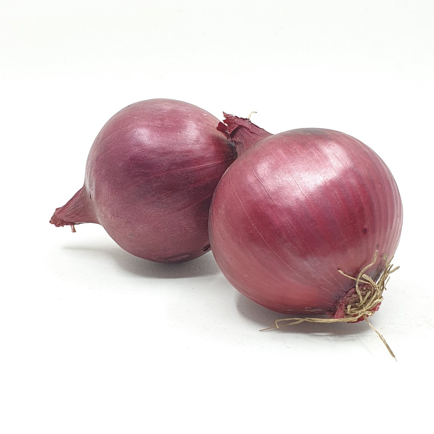 rote zwiebeln, bundzwiebeln